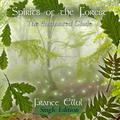 Spirits of the Forest - The Enchanted Glade