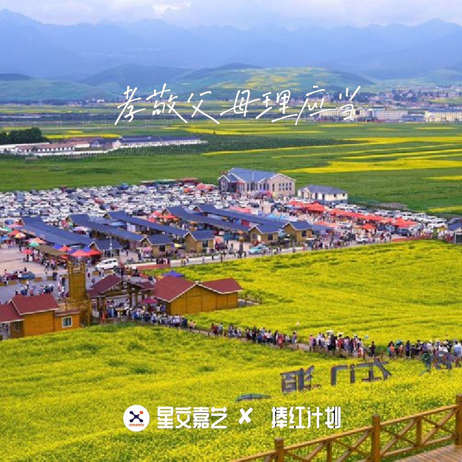 青海花儿歌曲封面