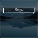 #1 Hour of Serene Songs for Yoga专辑