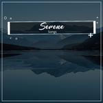 #1 Hour of Serene Songs for Yoga专辑