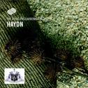 Joseph Haydn专辑