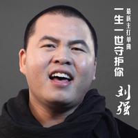 刘强 - 一生一世守护你(原版立体声伴奏)