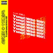 Yung&Wild / 年少輕狂