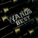 WANDS BEST ~HISTORICAL BEST ALBUM~专辑