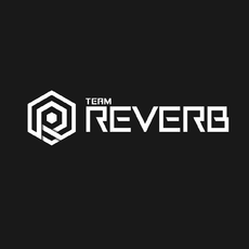 teamREVerb