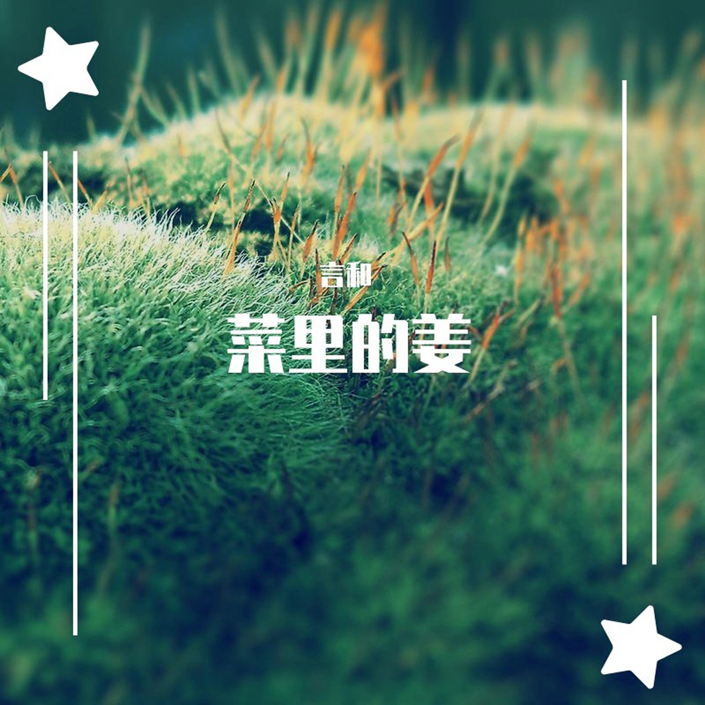 菜里的姜