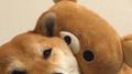 honey baby专辑