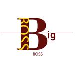 BIG BOSS专辑