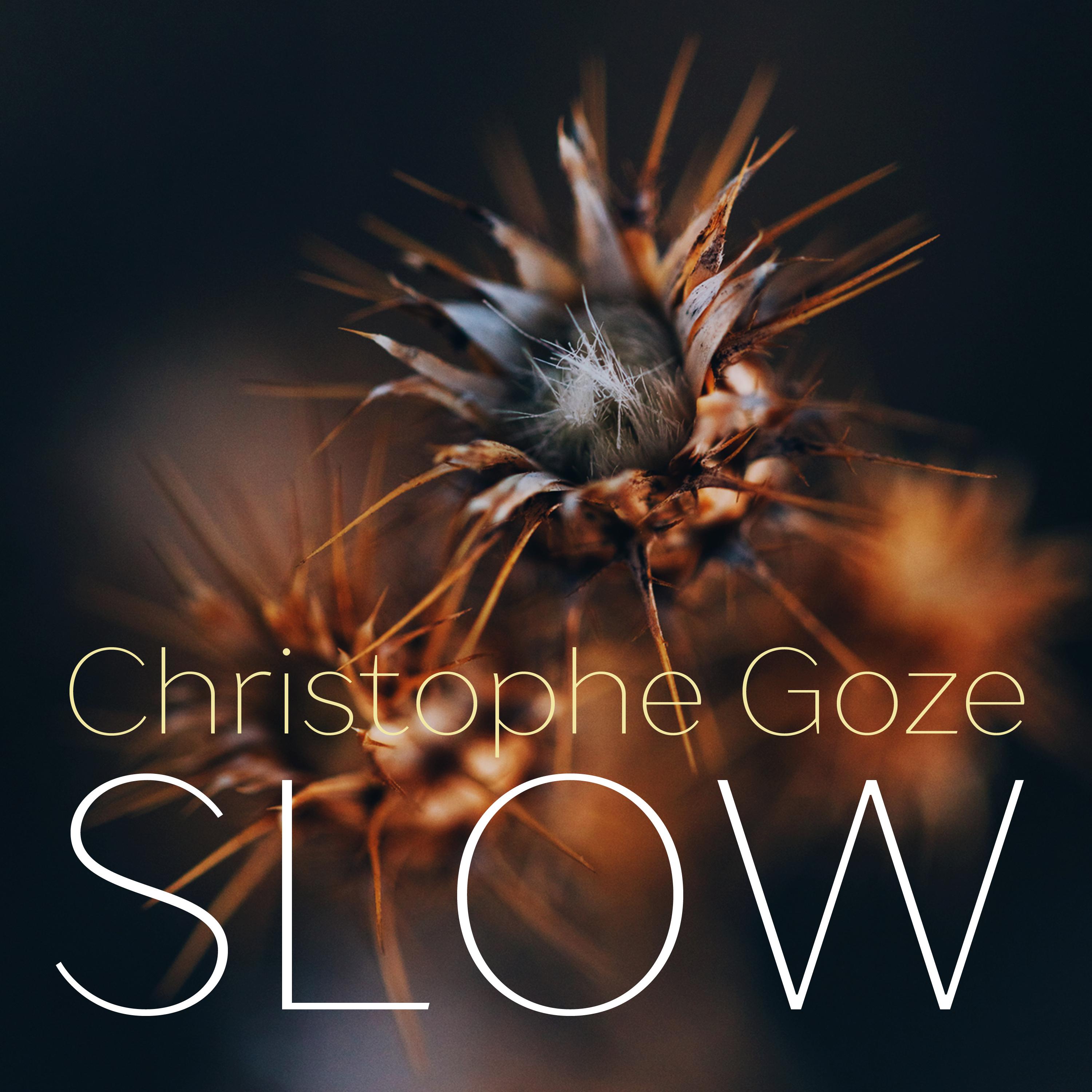 Christophe Goze - So Beautiful (Revisited)