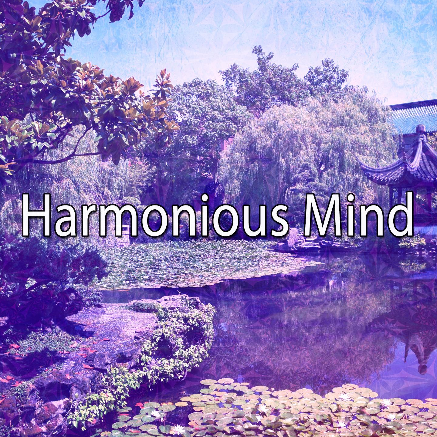 Harmonious Mind专辑