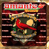 原版伴奏   Los Cardenales - Mi Amante (karaoke)
