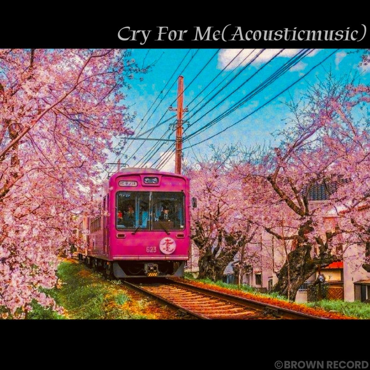 Cry For Me(Acousticmusic)