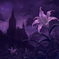 Purple Lily