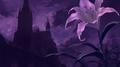 Purple Lily专辑