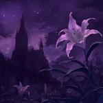Purple Lily专辑