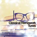 100 Classical Homework Tunes专辑