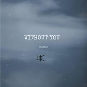 Without You