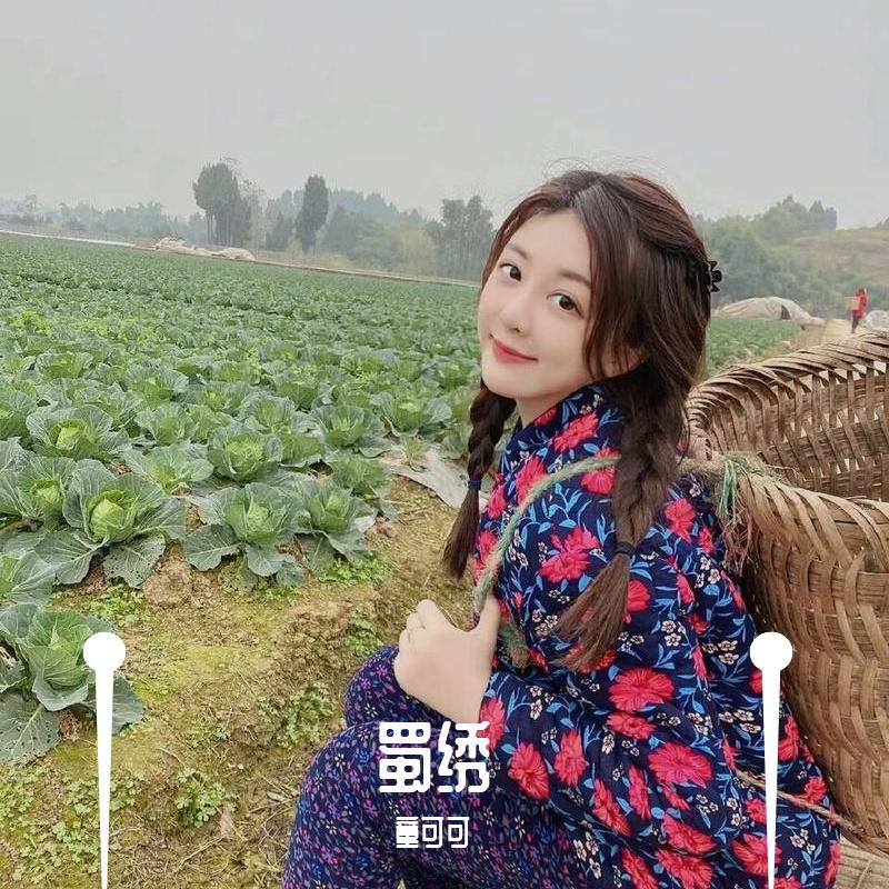 蜀绣