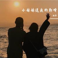 流郎妹调(云贵山歌)dj伴奏-流郎妹调(云贵山歌)dj