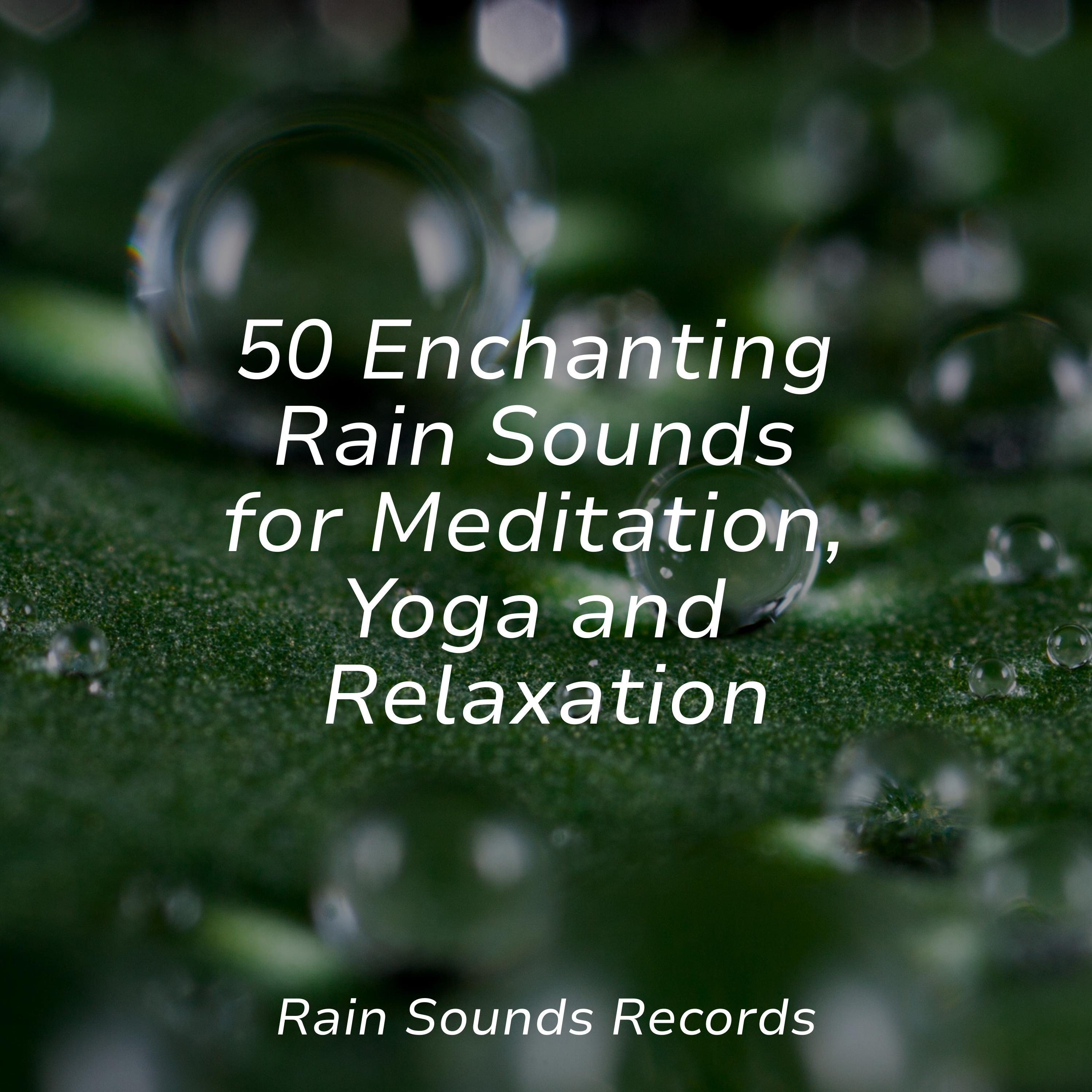 50 Enchanting Rain Sounds for Meditation, Yoga and Relaxation