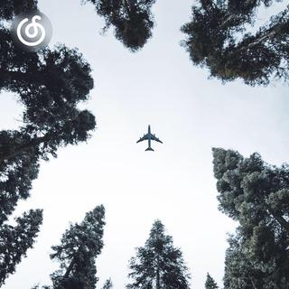 明亮清透精选|从《日落飞行》听起