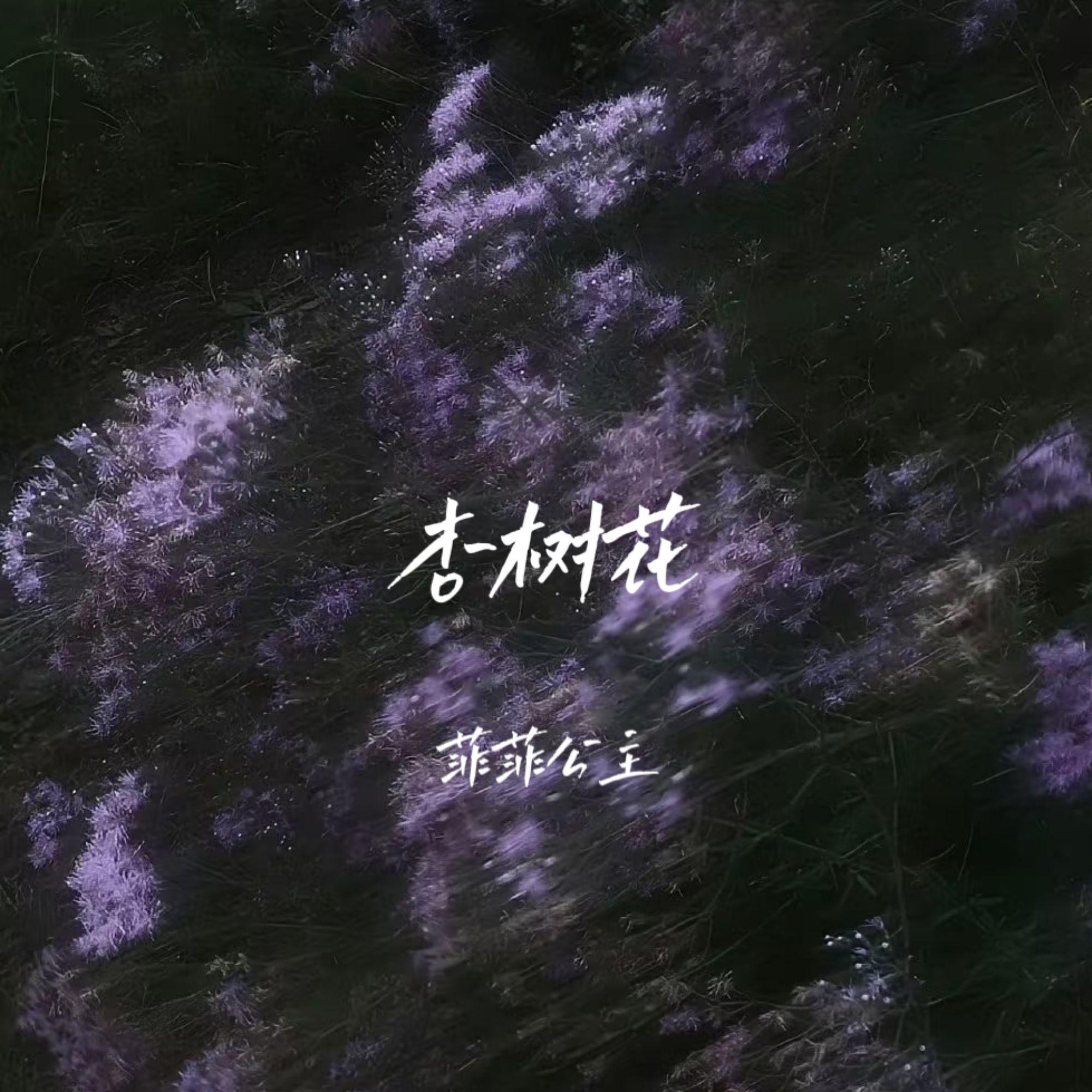 杏树花专辑