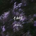 杏树花