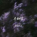 杏树花专辑