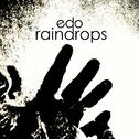 Raindrops专辑