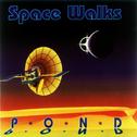 Pond - Space Walks专辑