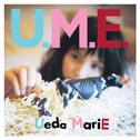 U.M.E专辑