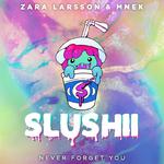 Never Forget You (Slushii Remix)专辑