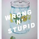 Wrong N' Stupid专辑