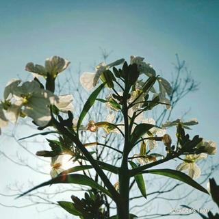 [电音&人声]洗脑神曲：震撼的电音人声！