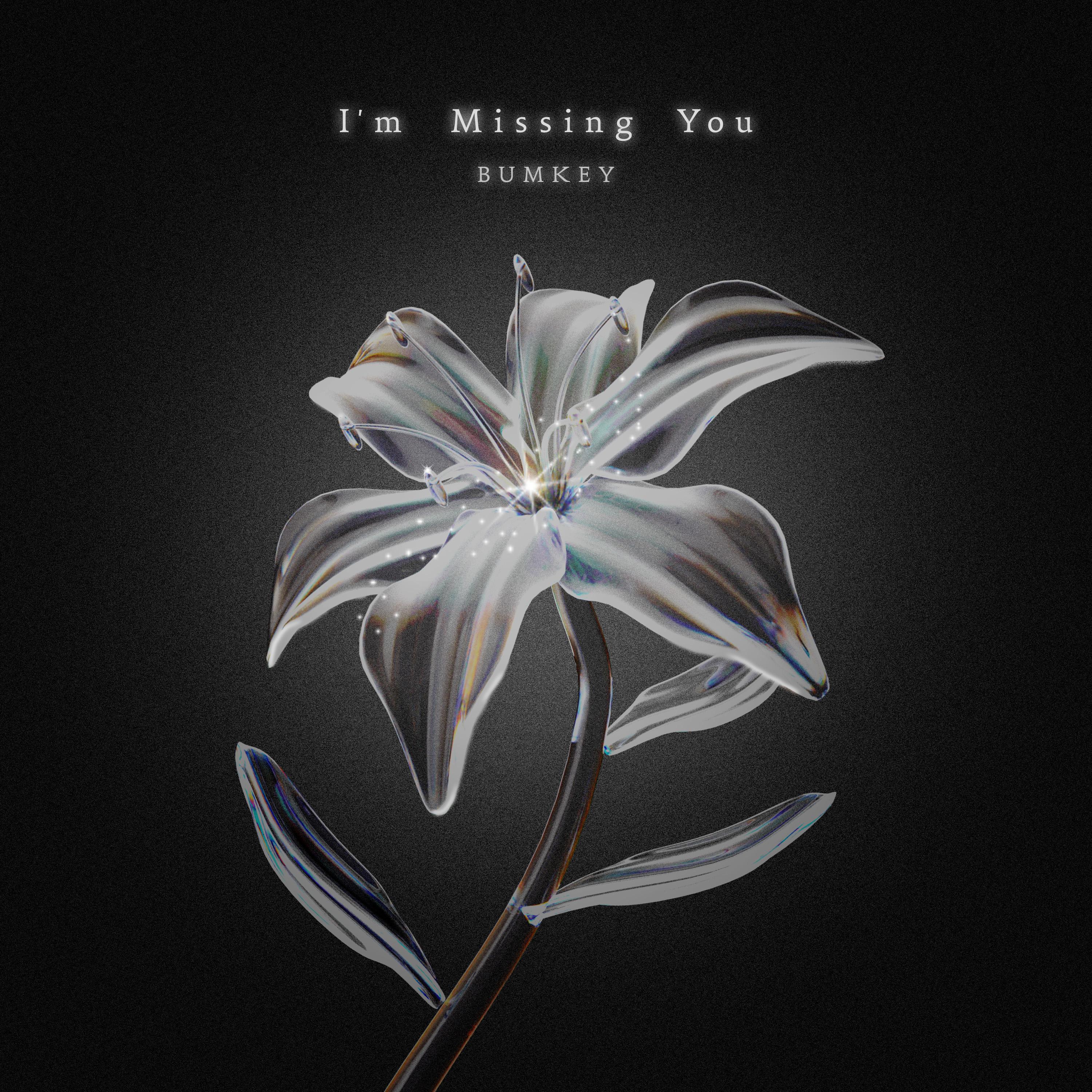 I'm Missing You