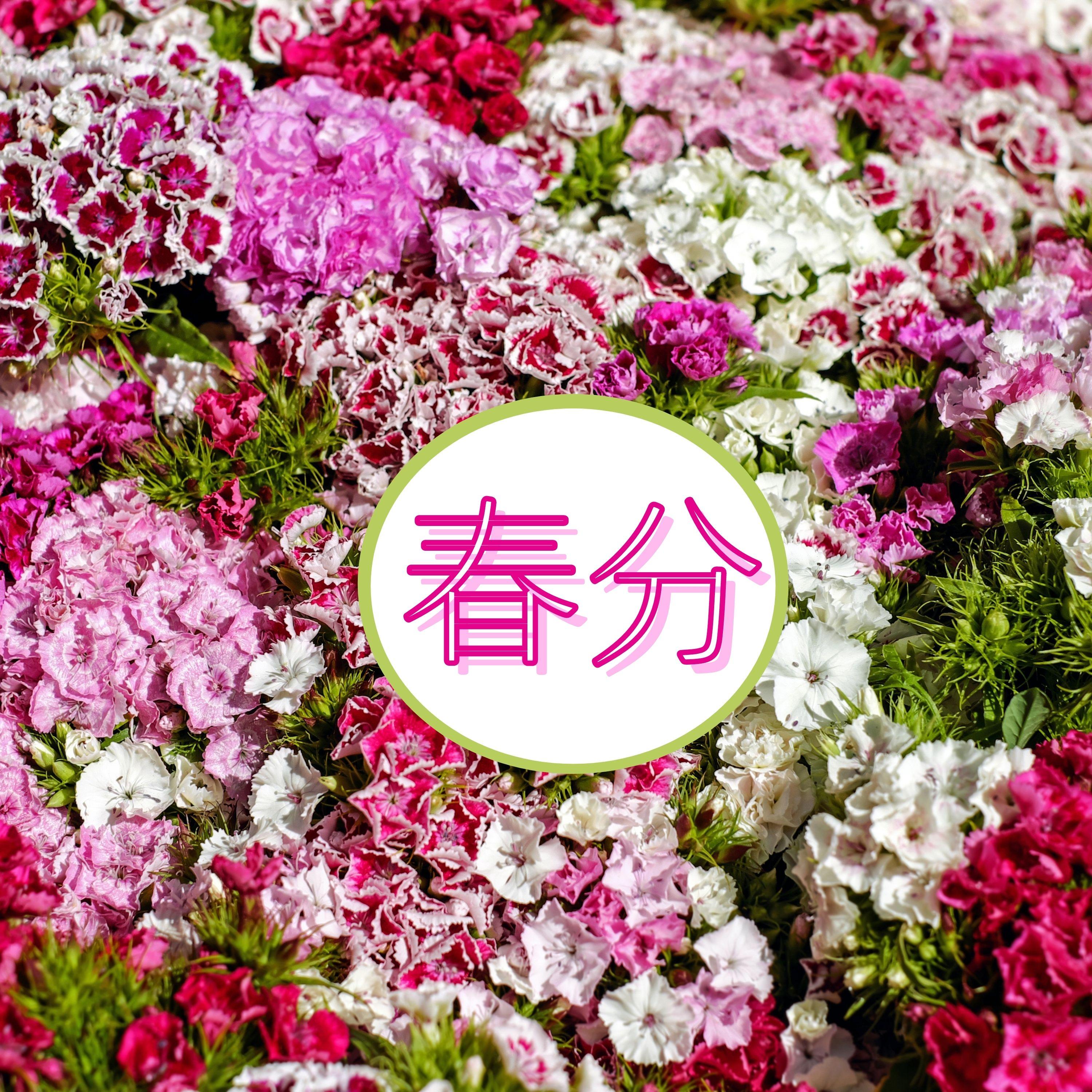 春分 – 让人放松的悦耳天籁之音，春天到了