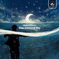 Star Covered Sky