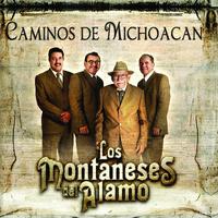 Caminos De Michoacan - Federico Villa (SC karaoke) 带和声伴奏