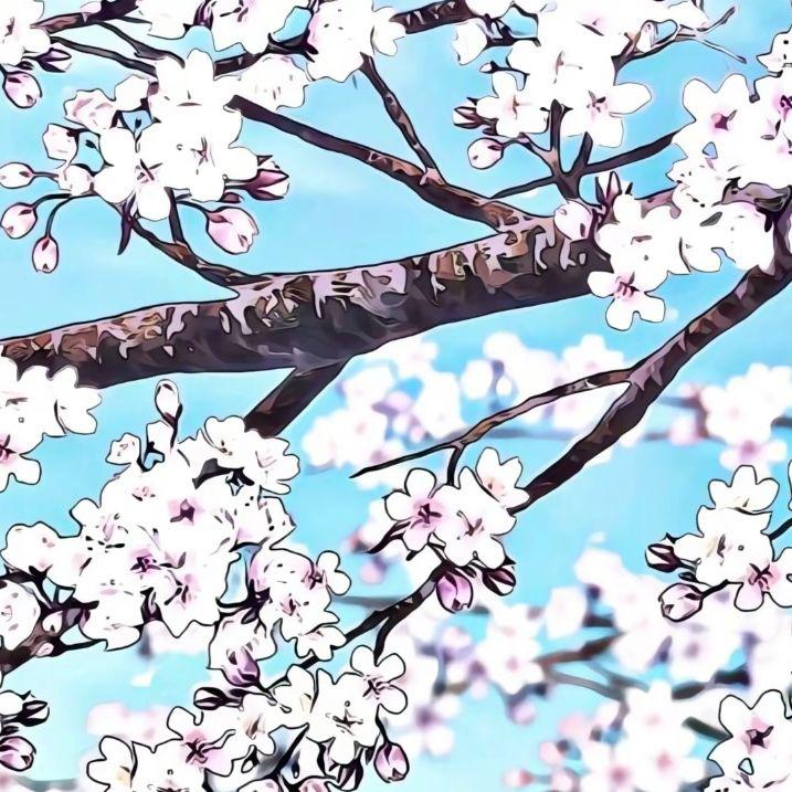 侧耳倾听专辑