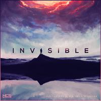 Invisible（小透明）