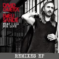 David Guetta《What I Did for Love (feat. Emeli Sandé) [VINAI Remix]吉他谱》_编排富有层次感