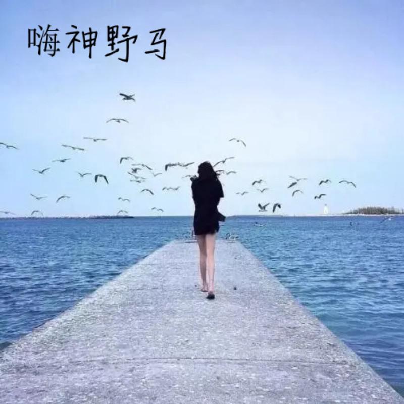 嗨神野马