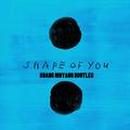 Shape Of You (HUANG MOYANG Bootleg)