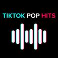 TikTok Pop Hits 2022 | 2023