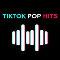 TikTok Pop Hits 2022 | 2023专辑