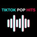 TikTok Pop Hits 2022 | 2023专辑