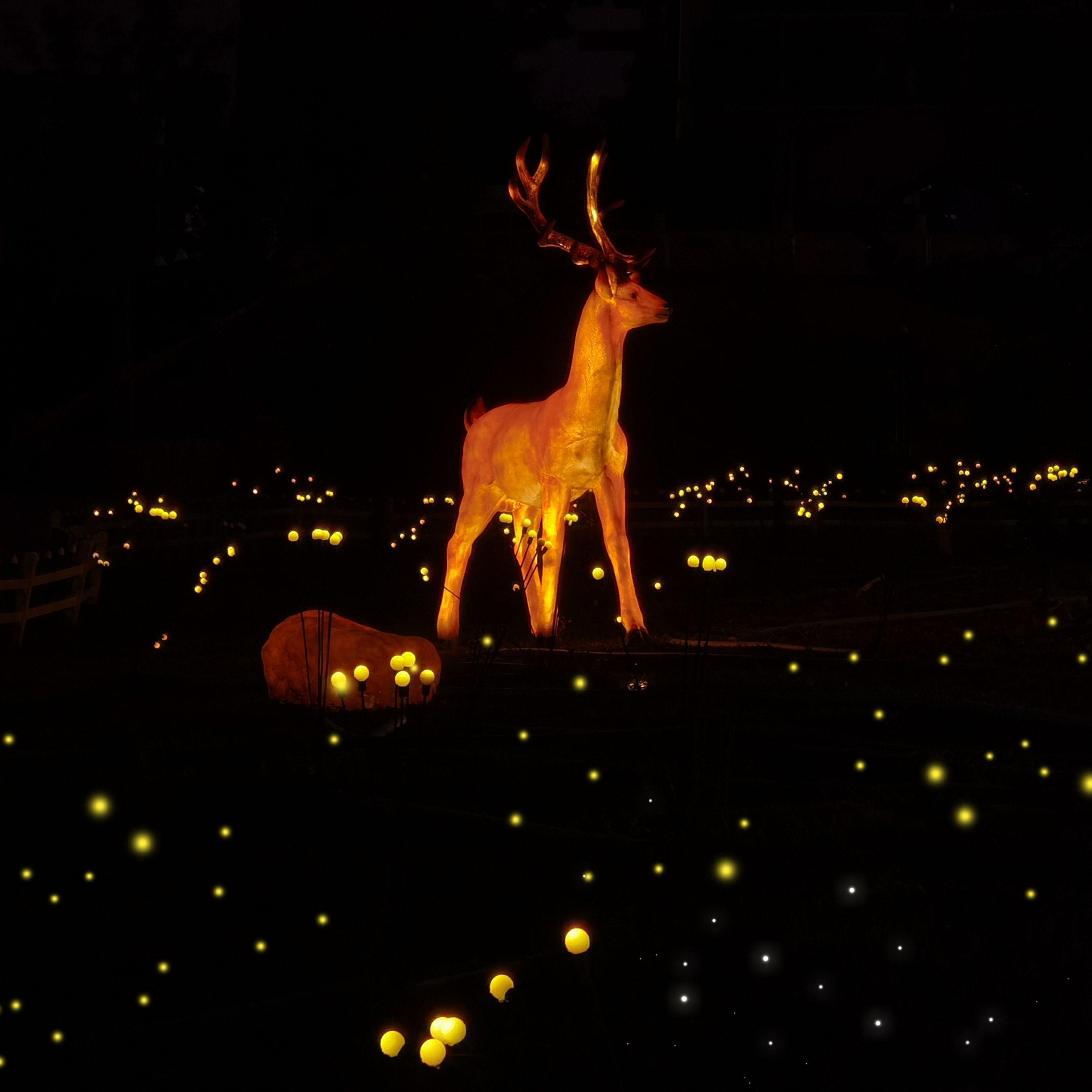 人世间【护士版】