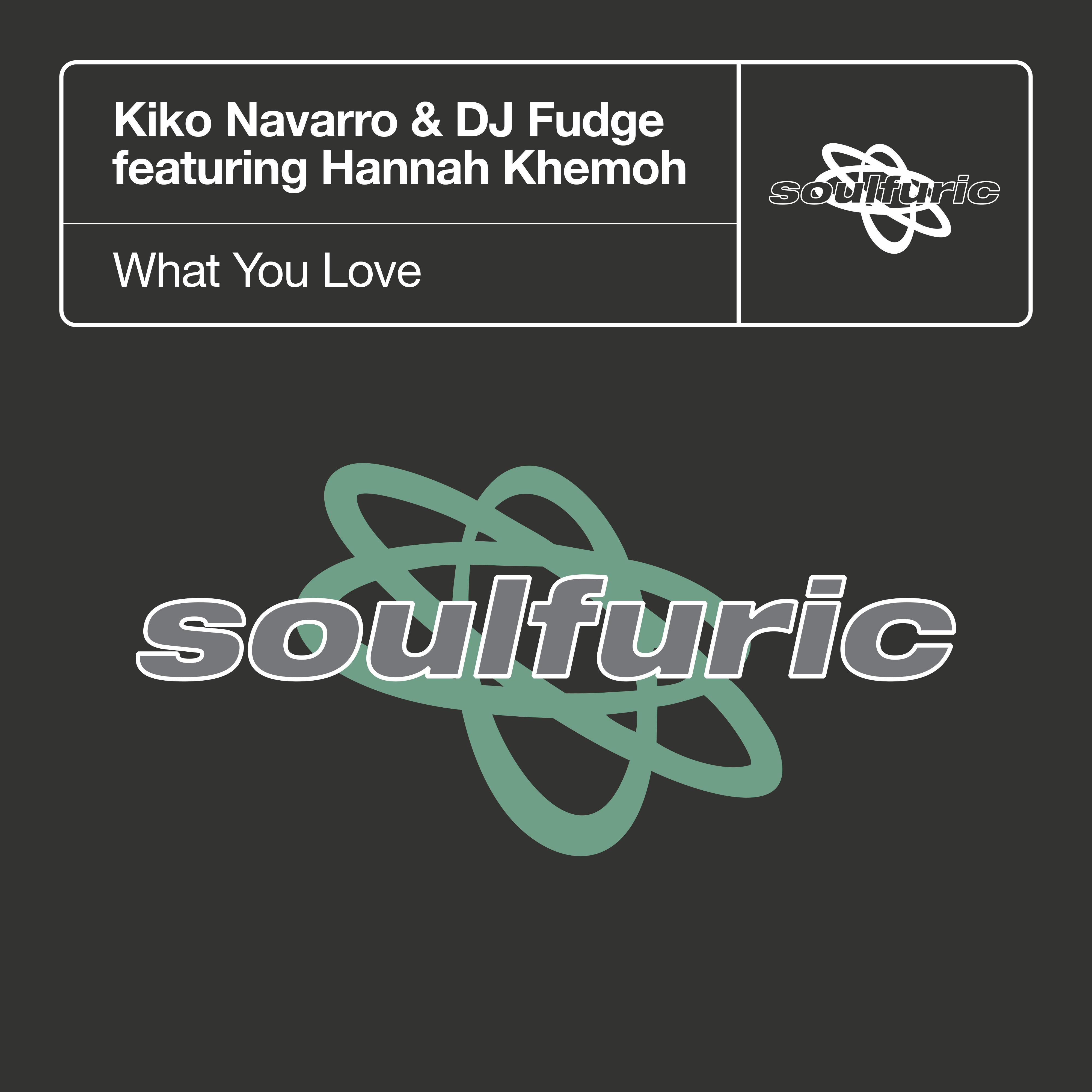 What You Love (Extended Mix)