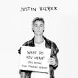 What Do You Mean (90s Remix) Feat. Michael Jackson