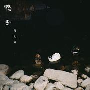 鸭子